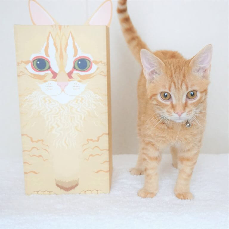 当社のマスコット猫とその似顔絵が描かれた当社オリジナルのお骨箱カバーが並んで立っている