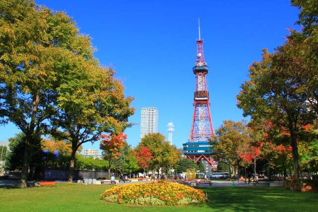 札幌市の中心的存在である大通り公園とその先にある札幌テレビ塔